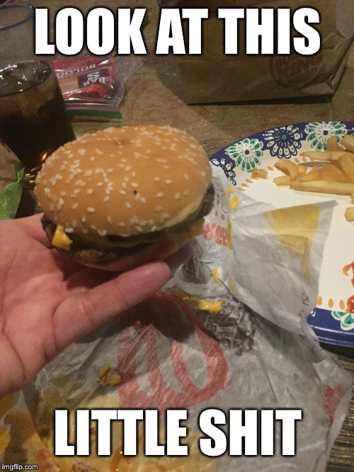 The Burger King burgers are shrinking. This is a double cheeseburger! | LOOK AT THIS LITTLE SHIT | image tagged in liitle burger king shit,what the hell,yes to the nice fooders,thirty out of 100 say this is not bullshit,zombies boycott bk meme | made w/ Imgflip meme maker