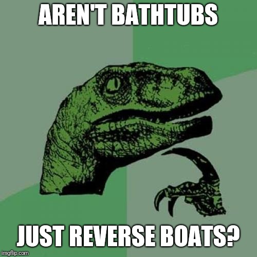 Philosoraptor | AREN'T BATHTUBS; JUST REVERSE BOATS? | image tagged in memes,philosoraptor | made w/ Imgflip meme maker