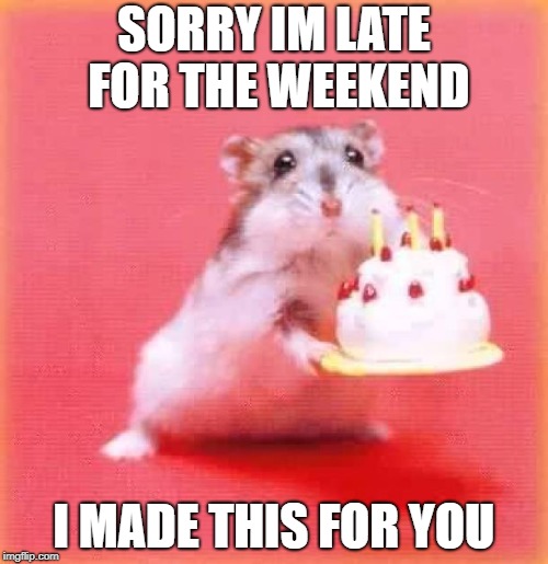 birthday hamster | SORRY IM LATE FOR THE WEEKEND; I MADE THIS FOR YOU | image tagged in birthday hamster | made w/ Imgflip meme maker