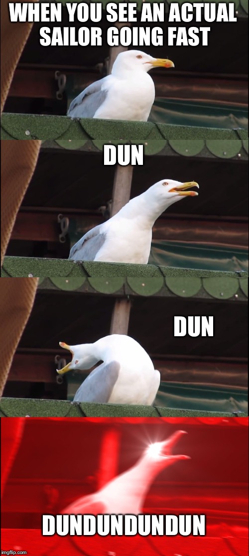 Inhaling Seagull | WHEN YOU SEE AN ACTUAL SAILOR GOING FAST; DUN; DUN; DUNDUNDUNDUN | image tagged in memes,inhaling seagull | made w/ Imgflip meme maker