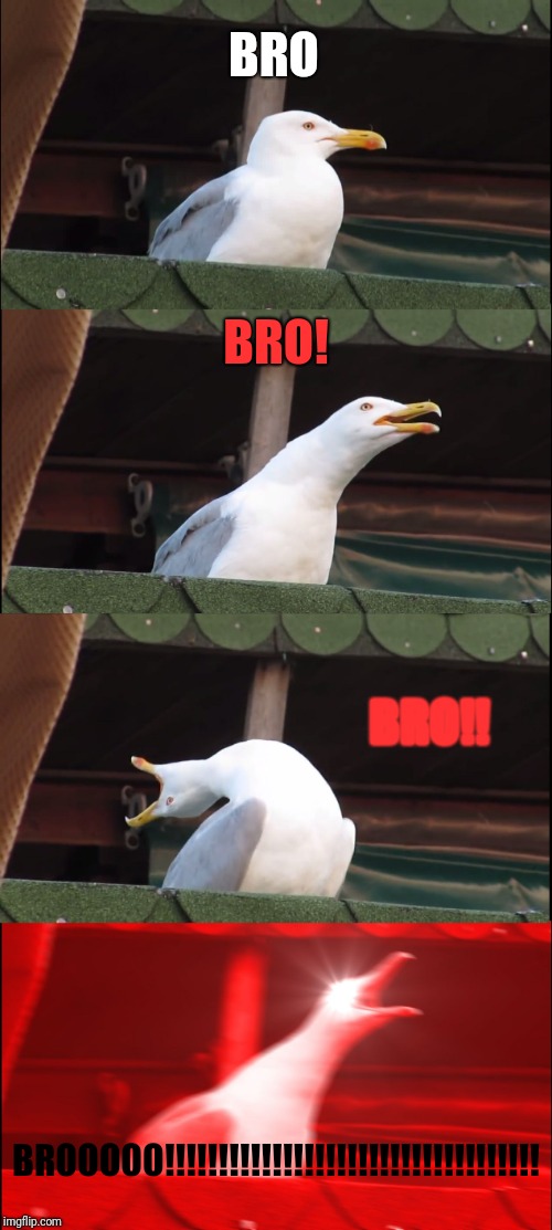 Inhaling Seagull Meme | BRO; BRO! BRO!! BROOOOO!!!!!!!!!!!!!!!!!!!!!!!!!!!!!!!!!!! | image tagged in memes,inhaling seagull | made w/ Imgflip meme maker