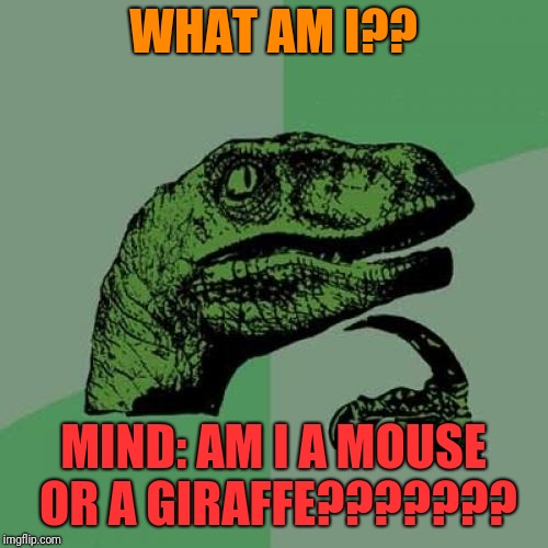 Philosoraptor Meme | WHAT AM I?? MIND: AM I A MOUSE OR A GIRAFFE??????? | image tagged in memes,philosoraptor | made w/ Imgflip meme maker