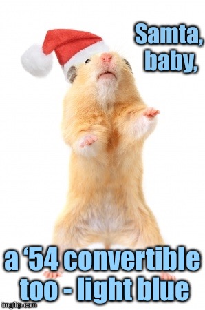 Hamster Weekend! Christmas in July! | Samta, baby, a ‘54 convertible too - light blue | image tagged in memes,hamster weekend,funny memes,christmas,santa baby,santa hamster | made w/ Imgflip meme maker