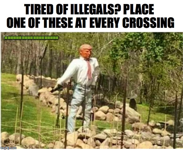 TIRED OF ILLEGALS? PLACE ONE OF THESE AT EVERY CROSSING; ................... | image tagged in donald trump,scarecrow,secure the border,illegal immigration | made w/ Imgflip meme maker