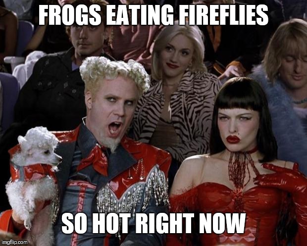 Mugatu So Hot Right Now Meme | FROGS EATING FIREFLIES; SO HOT RIGHT NOW | image tagged in memes,mugatu so hot right now | made w/ Imgflip meme maker