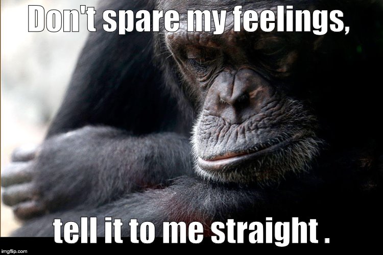 Koko | Don't spare my feelings, tell it to me straight . | image tagged in koko | made w/ Imgflip meme maker