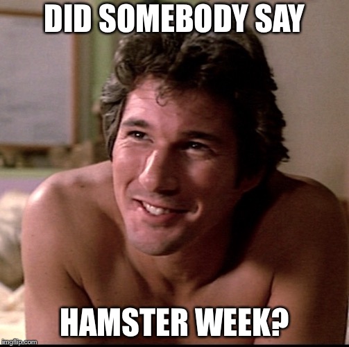 Richard Gere  | DID SOMEBODY SAY; HAMSTER WEEK? | image tagged in hamster,richard gere | made w/ Imgflip meme maker
