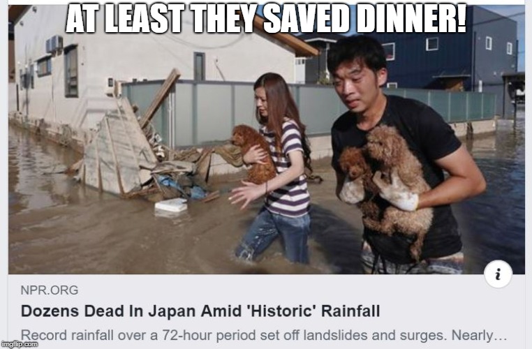Record flooding in Japan interrupts dinner | AT LEAST THEY SAVED DINNER! | image tagged in japan,flooding,dogs,dinner | made w/ Imgflip meme maker