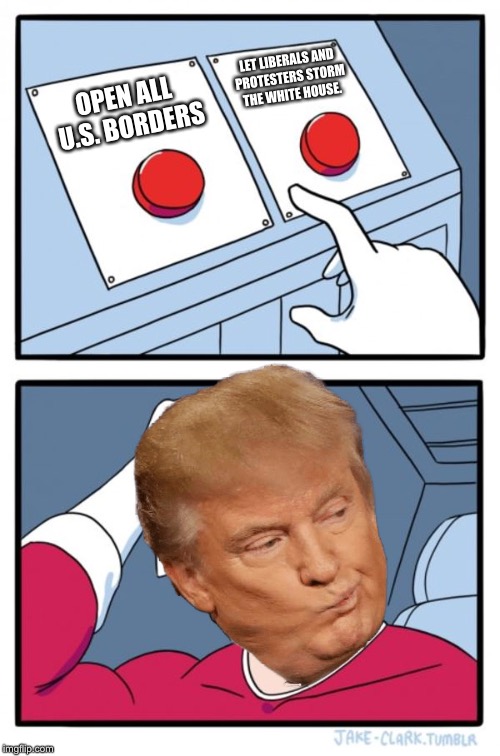 The Hardest Decision During Trump's Mighty Reign  | LET LIBERALS AND PROTESTERS STORM THE WHITE HOUSE. OPEN ALL U.S. BORDERS | image tagged in memes,two buttons,trump,open borders,liberals,protesters | made w/ Imgflip meme maker