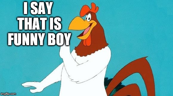 I SAY THAT IS FUNNY BOY | image tagged in foghorn leghorn | made w/ Imgflip meme maker