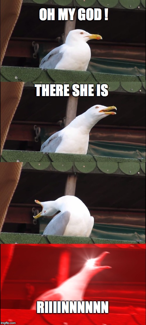 Inhaling Seagull Meme | OH MY GOD ! THERE SHE IS; RIIIINNNNNN | image tagged in memes,inhaling seagull | made w/ Imgflip meme maker