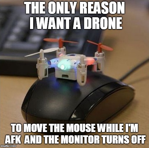 don't leave me puter | THE ONLY REASON I WANT A DRONE; TO MOVE THE MOUSE WHILE I'M AFK  AND THE MONITOR TURNS OFF | image tagged in memes | made w/ Imgflip meme maker