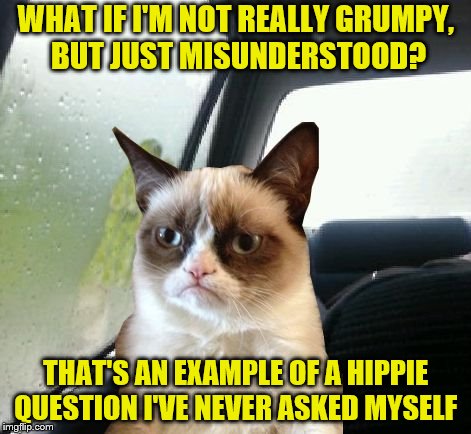 She doesn't know and doesn't care | WHAT IF I'M NOT REALLY GRUMPY, BUT JUST MISUNDERSTOOD? THAT'S AN EXAMPLE OF A HIPPIE QUESTION I'VE NEVER ASKED MYSELF | image tagged in introspective grumpy cat,memes,misunderstood | made w/ Imgflip meme maker