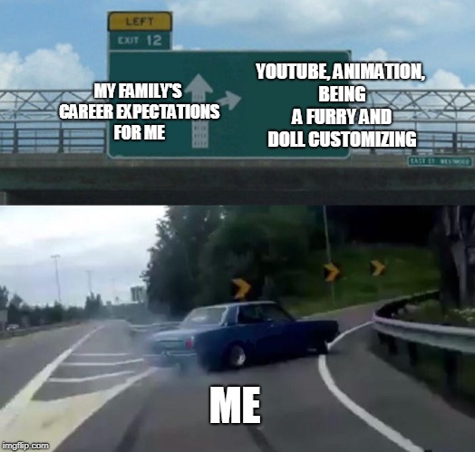 My Career Choices | YOUTUBE, ANIMATION, BEING A FURRY AND DOLL CUSTOMIZING; MY FAMILY'S CAREER EXPECTATIONS FOR ME; ME | image tagged in memes,left exit 12 off ramp,youtube,doll,furry,animation | made w/ Imgflip meme maker