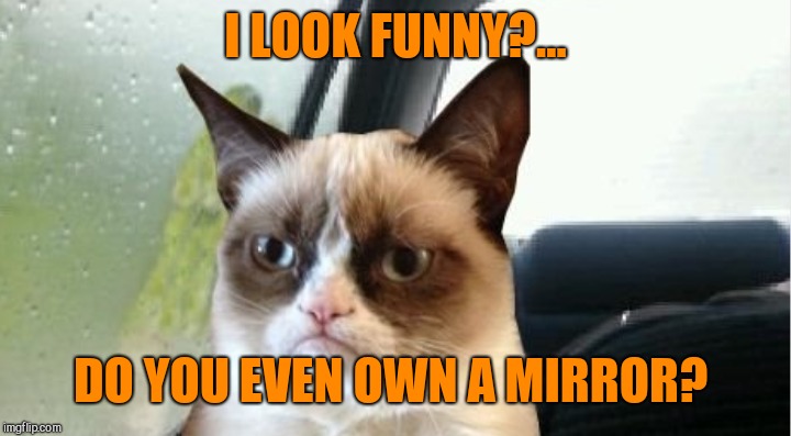 I LOOK FUNNY?... DO YOU EVEN OWN A MIRROR? | made w/ Imgflip meme maker