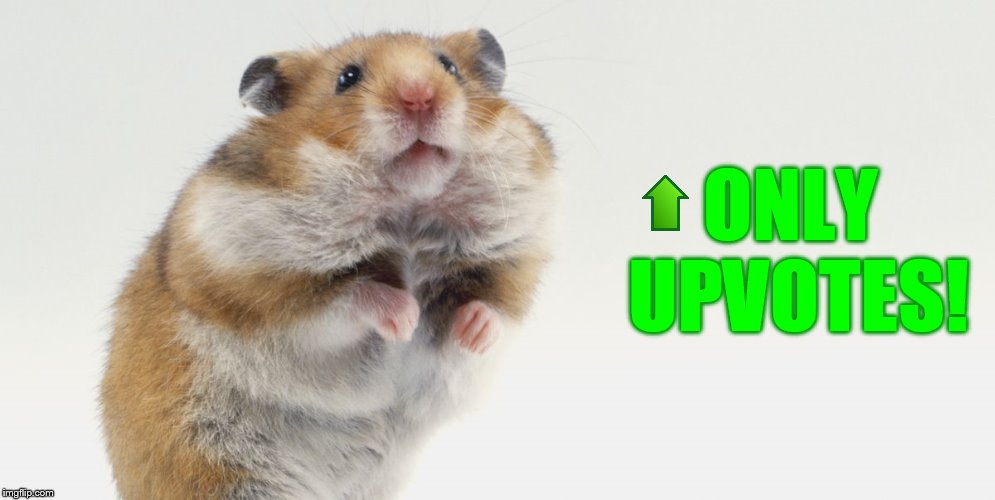 ONLY UPVOTES! | made w/ Imgflip meme maker