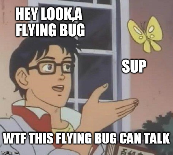 Is This A Pigeon Meme | HEY LOOK,A FLYING BUG; SUP; WTF THIS FLYING BUG CAN TALK | image tagged in memes,is this a pigeon | made w/ Imgflip meme maker