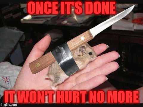 Lock and Load Hamster | ONCE IT'S DONE IT WON'T HURT NO MORE | image tagged in lock and load hamster | made w/ Imgflip meme maker