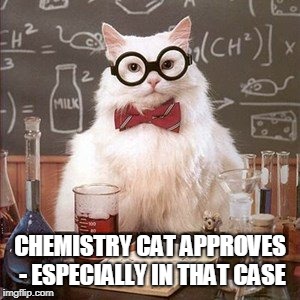 CHEMISTRY CAT APPROVES - ESPECIALLY IN THAT CASE | made w/ Imgflip meme maker