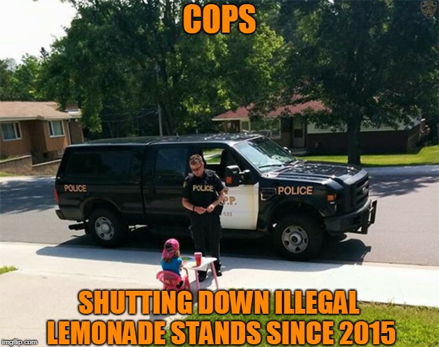 Don't You Have Anything Better To Do? | COPS; SHUTTING DOWN ILLEGAL LEMONADE STANDS SINCE 2015 | image tagged in cops,kids,lemonade,funny | made w/ Imgflip meme maker