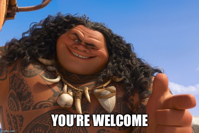 Maui You're Welcome | YOU’RE WELCOME | image tagged in maui you're welcome | made w/ Imgflip meme maker
