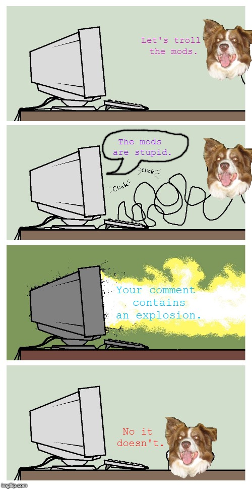 Computer Troll | Let's troll the mods. The mods are stupid. Your comment contains an explosion. No it doesn't. | image tagged in computer troll,chili the border collie,imgflip mods,stupid people,dogs,border collie | made w/ Imgflip meme maker