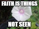 Hebrews 11:1 | FAITH IS THINGS; NOT SEEN | image tagged in bible,bible faith,faith,trust,god,verse | made w/ Imgflip meme maker