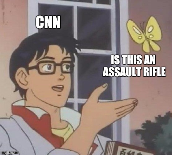 Is This A Pigeon | CNN; IS THIS AN ASSAULT RIFLE | image tagged in memes,is this a pigeon | made w/ Imgflip meme maker