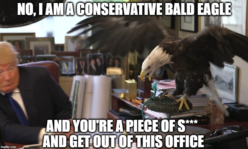 NO, I AM A CONSERVATIVE BALD EAGLE AND YOU'RE A PIECE OF S*** AND GET OUT OF THIS OFFICE | made w/ Imgflip meme maker