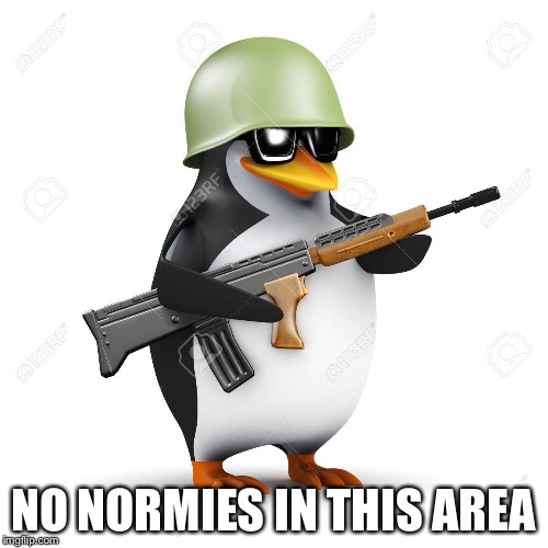 Armed Penguin | NO NORMIES IN THIS AREA | image tagged in armed penguin | made w/ Imgflip meme maker