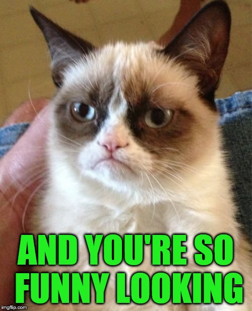Grumpy Cat Meme | AND YOU'RE SO FUNNY LOOKING | image tagged in memes,grumpy cat | made w/ Imgflip meme maker