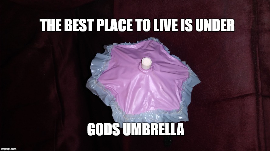 Gods Umbrella
 | THE BEST PLACE TO LIVE IS UNDER; GODS UMBRELLA | image tagged in god,umbrella,bible,verse,bible verse,favor | made w/ Imgflip meme maker