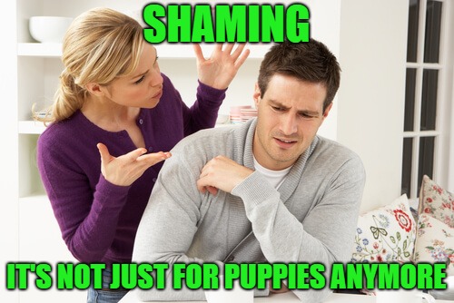 woman yelling at man | SHAMING IT'S NOT JUST FOR PUPPIES ANYMORE | image tagged in woman yelling at man | made w/ Imgflip meme maker