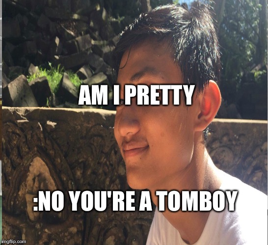 Pro tomboy | AM I PRETTY; :NO YOU'RE A TOMBOY | image tagged in funny memes | made w/ Imgflip meme maker