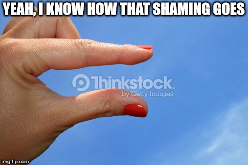 YEAH, I KNOW HOW THAT SHAMING GOES | made w/ Imgflip meme maker