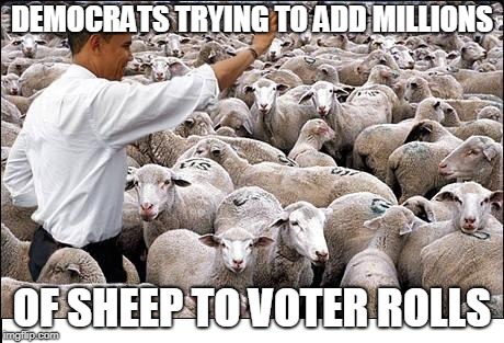 obama and his voters | DEMOCRATS TRYING TO ADD MILLIONS; OF SHEEP TO VOTER ROLLS | image tagged in obama and his voters | made w/ Imgflip meme maker