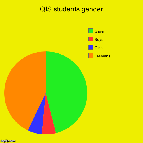 IQIS students gender | Lesbians, Girls, Boys, Gays | image tagged in funny,pie charts | made w/ Imgflip chart maker