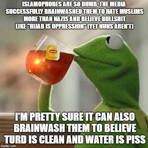 Islamophobes Are SO Dumb | ISLAMOPHOBES ARE SO DUMB, THE MEDIA SUCCESSFULLY BRAINWASHED THEM TO HATE MUSLIMS MORE THAN NAZIS AND BELIEVE BULLSHIT LIKE "HIJAB IS OPPRESSION" (YET NUNS AREN'T); I'M PRETTY SURE IT CAN ALSO BRAINWASH THEM TO BELIEVE TURD IS CLEAN AND WATER IS PISS | image tagged in memes,but thats none of my business,kermit the frog,water,piss,dumb | made w/ Imgflip meme maker