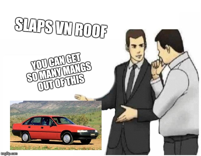 Car Salesman Slaps Hood Meme | SLAPS VN ROOF; YOU CAN GET SO MANY MANGS OUT OF THIS | image tagged in car salesman slaps hood of car | made w/ Imgflip meme maker