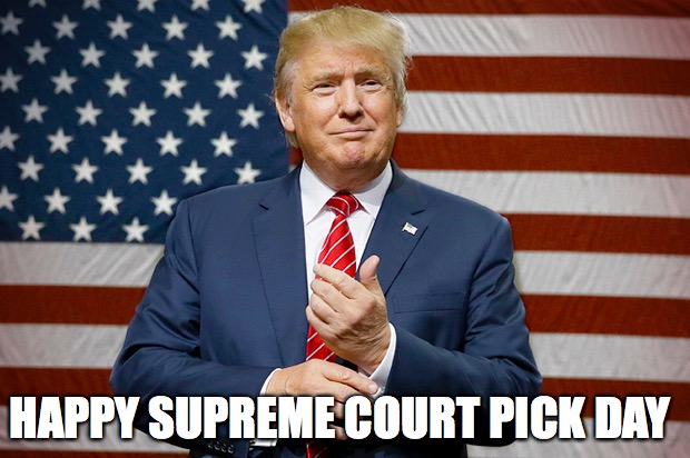 HAPPY SUPREME COURT PICK DAY | image tagged in donal trump,supreme court | made w/ Imgflip meme maker