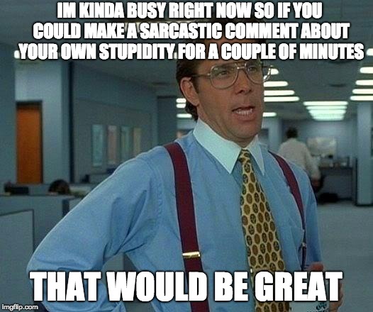 That Would Be Great Meme | IM KINDA BUSY RIGHT NOW SO IF YOU COULD MAKE A SARCASTIC COMMENT ABOUT YOUR OWN STUPIDITY FOR A COUPLE OF MINUTES; THAT WOULD BE GREAT | image tagged in memes,that would be great | made w/ Imgflip meme maker