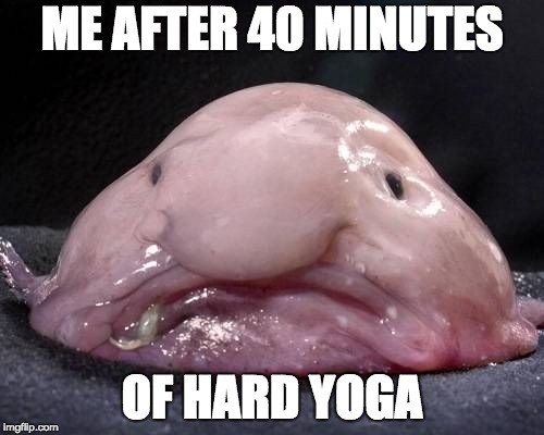 Blob Fish | ME AFTER 40 MINUTES; OF HARD YOGA | image tagged in blob fish | made w/ Imgflip meme maker