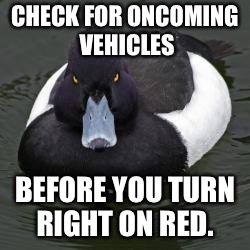 Angry Advice Mallard | CHECK FOR ONCOMING VEHICLES; BEFORE YOU TURN RIGHT ON RED. | image tagged in angry advice mallard,AdviceAnimals | made w/ Imgflip meme maker