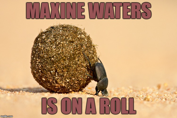 Maxine Waters is on a roll | MAXINE WATERS; IS ON A ROLL | image tagged in maxine waters,dung beetle | made w/ Imgflip meme maker