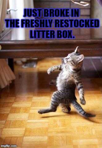 Cool Cat Stroll | JUST BROKE IN THE FRESHLY RESTOCKED LITTER BOX. | image tagged in memes,cool cat stroll | made w/ Imgflip meme maker
