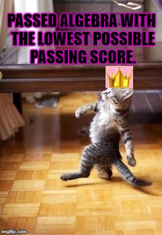 Cool Cat Stroll | PASSED ALGEBRA WITH THE LOWEST POSSIBLE PASSING SCORE. | image tagged in memes,cool cat stroll | made w/ Imgflip meme maker