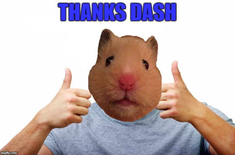 THANKS DASH | made w/ Imgflip meme maker