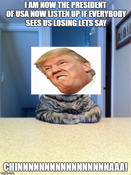 Take A Seat Cat | I AM NOW THE PRESIDENT OF USA NOW LISTEN UP IF EVERYBODY SEES US LOSING LETS SAY; CHINNNNNNNNNNNNNNNNNAAA! | image tagged in memes,take a seat cat | made w/ Imgflip meme maker