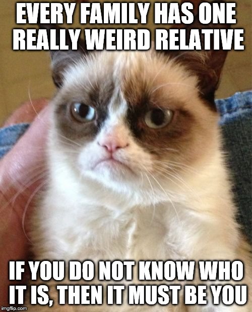 Grumpy Cat | EVERY FAMILY HAS ONE REALLY WEIRD RELATIVE; IF YOU DO NOT KNOW WHO IT IS, THEN IT MUST BE YOU | image tagged in memes,grumpy cat | made w/ Imgflip meme maker
