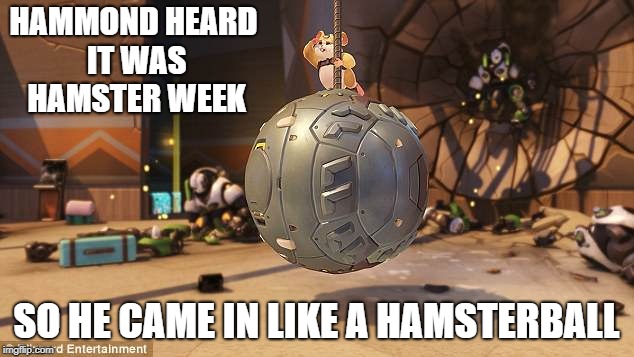 Hamster Weekend July 6-8, a bachmemeguy2, 1forpeace & Shen_Hiroku_Nagato event! | HAMMOND HEARD IT WAS HAMSTER WEEK; SO HE CAME IN LIKE A HAMSTERBALL | image tagged in hamster weekend,overwatch,wrecking ball | made w/ Imgflip meme maker